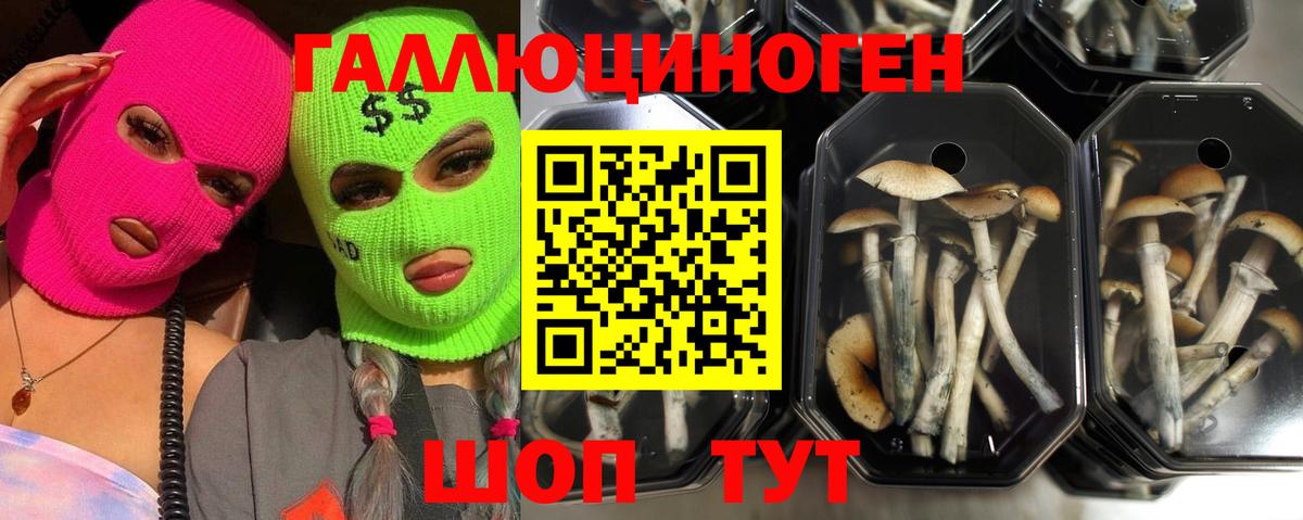 Псилоцибиновые грибы прущие грибы  Галлюциногенные грибы ЛСД  Вход с VPN  Котовск 
